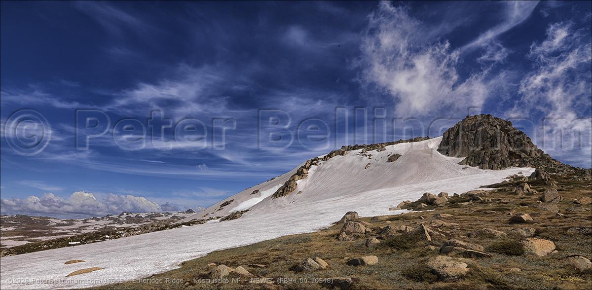Peter Bellingham Photography Etheridge Ridge - Kosciuszko NP - NSW T (PBH4 00 10548)